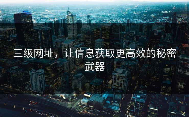 三级网址，让信息获取更高效的秘密武器