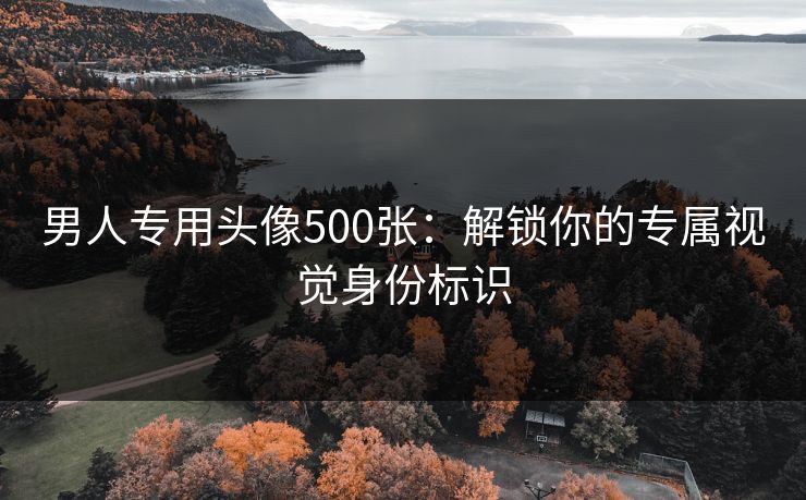 男人专用头像500张:解锁你的专属视觉身份标识 男人专用头像500张:解锁你的专属视觉身份标识
