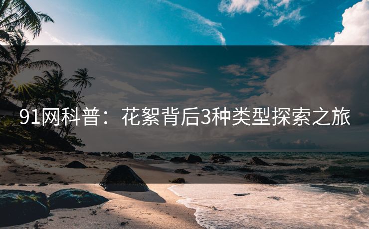 91网科普：花絮背后3种类型探索之旅