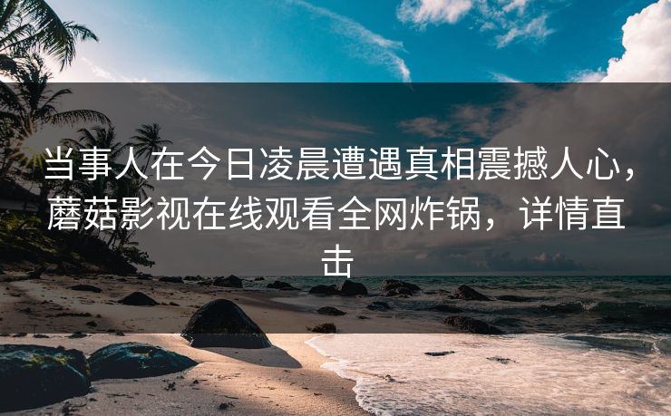 当事人在今日凌晨遭遇真相震撼人心，蘑菇影视在线观看全网炸锅，详情直击