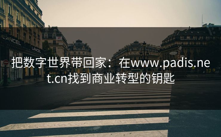 把数字世界带回家：在www.padis.net.cn找到商业转型的钥匙