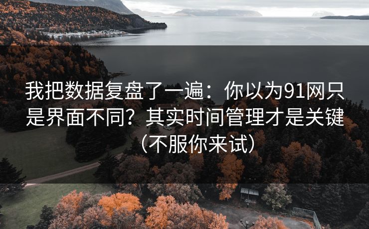 我把数据复盘了一遍：你以为91网只是界面不同？其实时间管理才是关键（不服你来试）